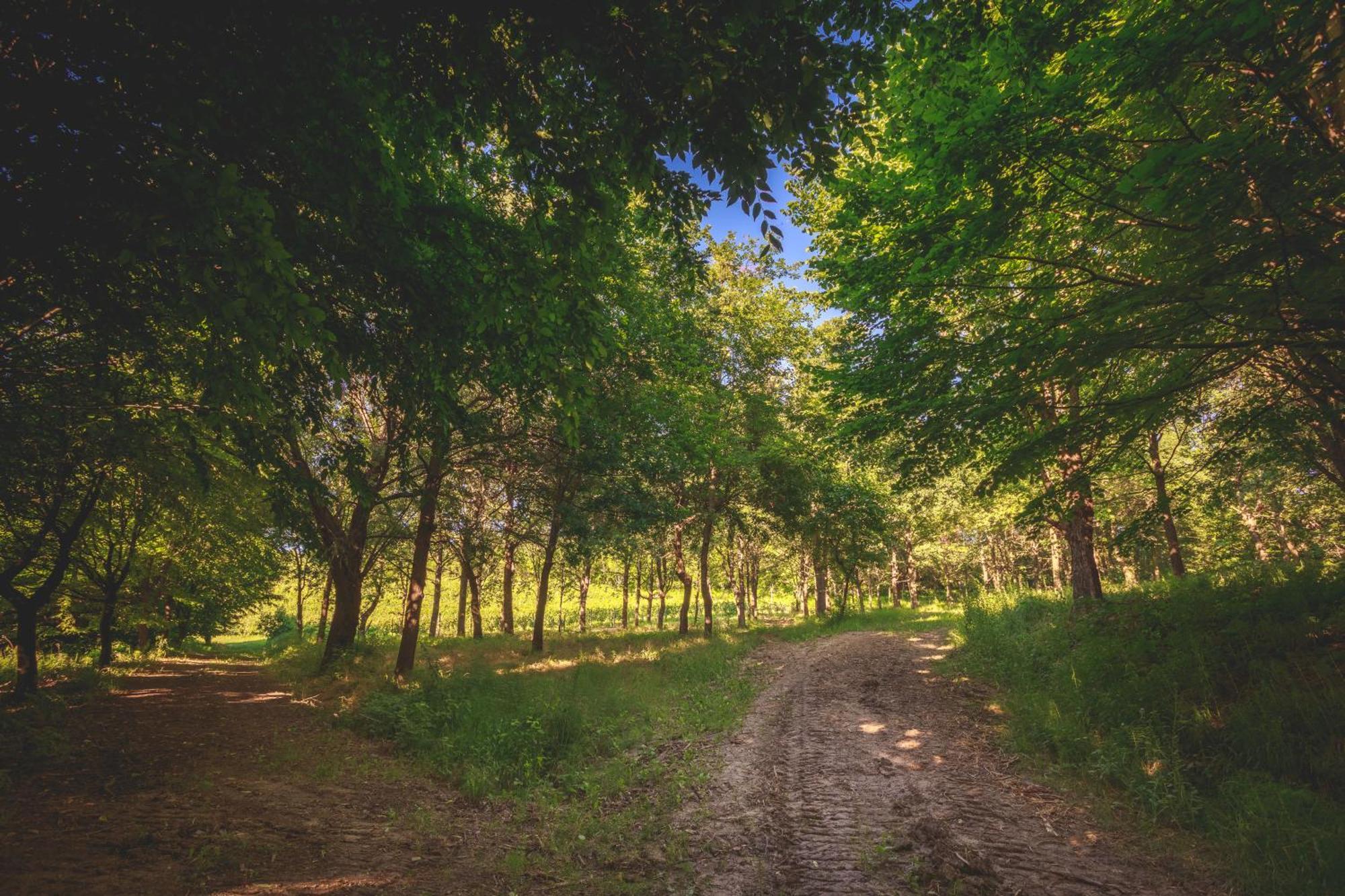 Villa La Meridiana Alba  Buitenkant foto